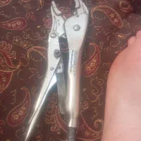 اچار کلاغی