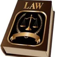 کاراموز وکالت (فعالیت در موسسه حقوقی)