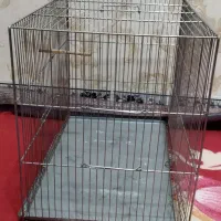 قفس پرنده|لوازم جانبی حیوانات|ایلام, |دیوار