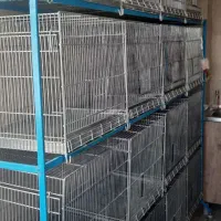 شانزده قفس غلامی روی جاسازی