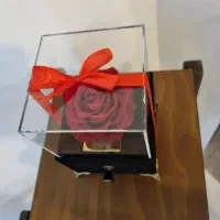 کادوی مناسب برای همه خوش صلیغه ها