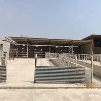 فروش دامداری درامیدیه