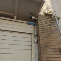 دوربین مداربسته ببرق خورشیدی و سیمکارتی وایفای دار|دوربین مداربسته|کازرون, |دیوار