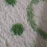 کیف مدارک گم شده