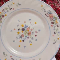پیش دستی آرکوپال اصل فرانسه