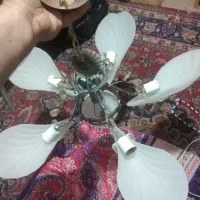 دو عدد لوستر