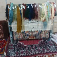 زرنیم ابریشم سالاری