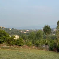 ۵۰۰ متر زمین قابل ساخت ویودار در بابلکنار|فروش زمین و ملک کلنگی|شیرگاه, |دیوار
