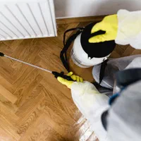 سم پاشی سوسک،ساس،موریانه،عقرب،موش ۱۰۰ درصد تضمینی