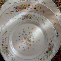 فروش وخریدارارکوپال فرانسه لومینارک ویکتوریا