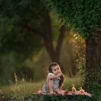 فرصت عکاسی رایگان