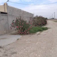 خونه باغ گزدراز|فروش خانه و ویلا|خورموج, |دیوار