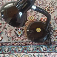چراغ مطالعه خرطومی