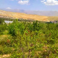 495متر-باغچه-شهرکی-4دیواری-شده-هومند-وادان-خ-نگار