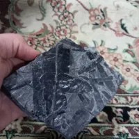 فسیل برگ و سرخس