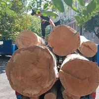 خرید وبرش چوب