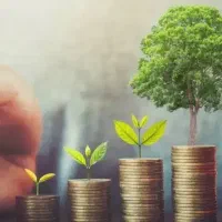 سرمایه گذاری یا شراکت