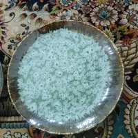 ظرف|ظروف سرو و پذیرایی|کرمان, |دیوار