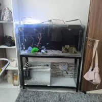 اکواریوم شیشه کوچیک و بزرگ