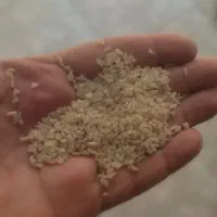 سرلاشه نیم دانه  طارم درجه یک اقتصادی|خوردنی و آشامیدنی|باقرشهر, |دیوار
