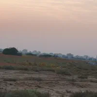 زمین-باغ