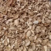 خرید ارم پوست بادام شکسته تناژ بالا