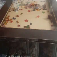 مبل راحتی|مبلمان خانگی و میز عسلی|شاهینشهر, دکتر حسابی|دیوار