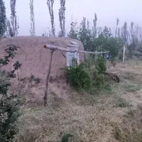 فروش-باغ