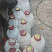 دبه جای خیارشور