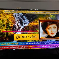 تلویزیون سامسونگ ۴۳اینچ|تلویزیون و پروژکتور|رشت, فلسطین|دیوار