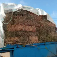 علوفه مخلوط با یونجه|خدمات باغبانی و درختکاری|تکاب, |دیوار