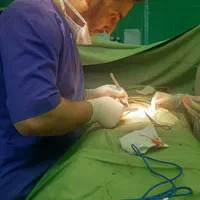 تزریقات،پانسمان و خدمات پرستاری توسط خانم وآقا|خدمات آرایشگری و زیبایی|قرچک, میرزائی شمالی|دیوار