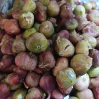 انجیر|خوردنی و آشامیدنی|ایلام, |دیوار
