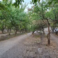 باغ-ویلا-1500مترسندکنتور-کرج-شهریار-ملارد-لم-آباد