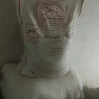 ۲عددآردهفشجان