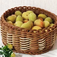 سبد های حصیری|ظروف سرو و پذیرایی|اراک, |دیوار