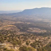 چوپان میخوام کار بلد باشه