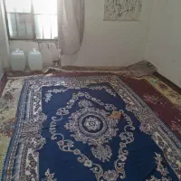 اتاق 12متری|اجارهٔ خانه و ویلا|شیراز, لب آب|دیوار