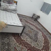 اجاره روزانه/هفتگی/ماهانه آپارتمان ۱۰۰ متری|اجارهٔ کوتاه‌مدت آپارتمان و سوئیت|ماهان, |دیوار
