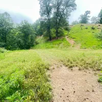 زمین ویلایی روستای سرسبز لوه