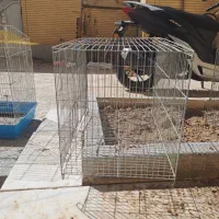 قفس پرنده
