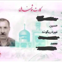 گم شدن کارت های شناسایی