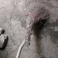 ساخت انواع جارو ها عالی