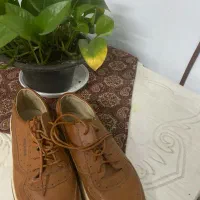 کفش نو‌مردانه