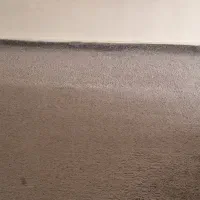 موکت
