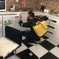 سمپاشی مرکز تخصصی سم پاشی ساس سوسک موش کنه بید کک|خدمات نظافت|تهران, صادقیه|دیوار