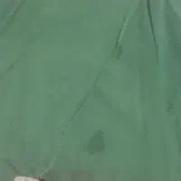 مانتو لنین