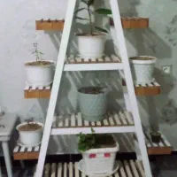 استند گل چوبی|گل و گیاه طبیعی|بوکان, |دیوار