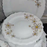 ارکوپال|ظروف سرو و پذیرایی|تهران, شهرک ولیعصر شمالی|دیوار