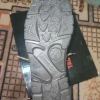 نوی نو|کیف، کفش، کمربند|شاندیز, |دیوار